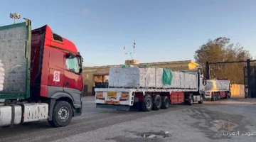 قافلة زاد العزة 81 بتوصل 10 آلاف طن مساعدات و90