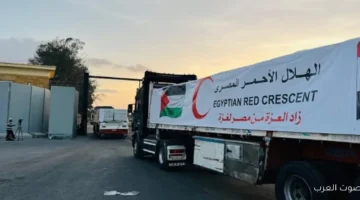 قافلة زاد العزة رقم 81 توصل مساعدات للفلسطينيين في قطاع