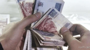 قبل اجتماع المركزي كل التفاصيل عن أعلى عائد على شهادات