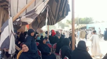 قبل ما يبدأ التصويت في المرحلة التانية اعرف عدد اللجان