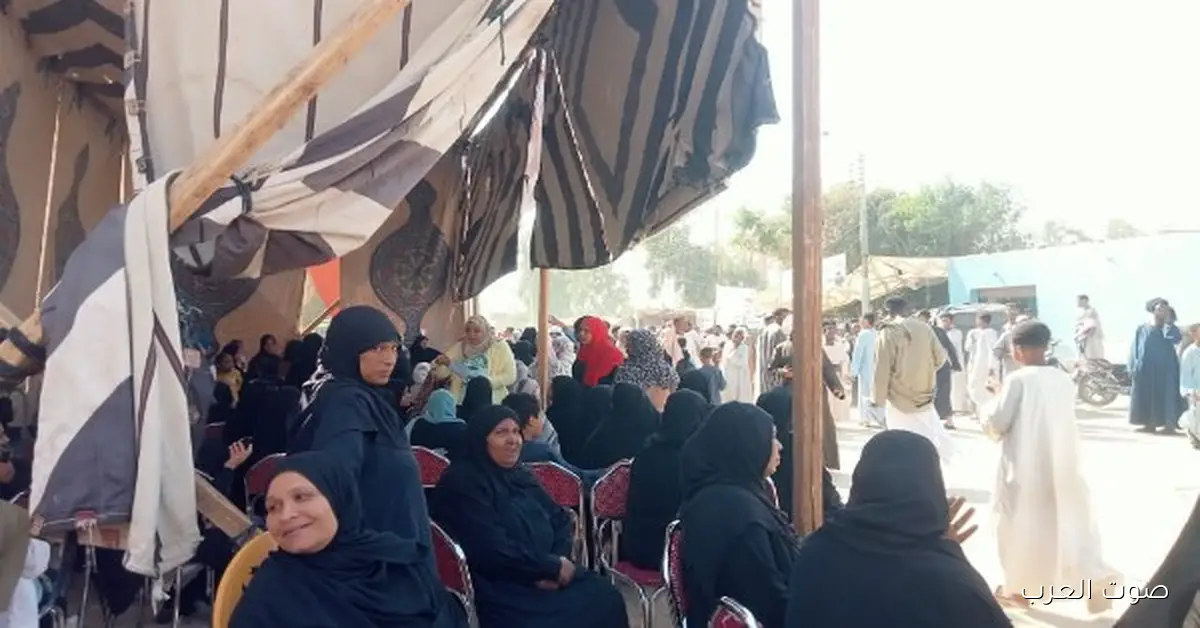 قبل ما يبدأ التصويت في المرحلة التانية.. اعرف عدد اللجان وعدد الناخبين والمترشحين في انتخابات مجلس النواب