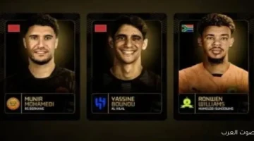 كاف يستبعد أحمد الشناوي من قائمة أفضل حارس لعام 2025