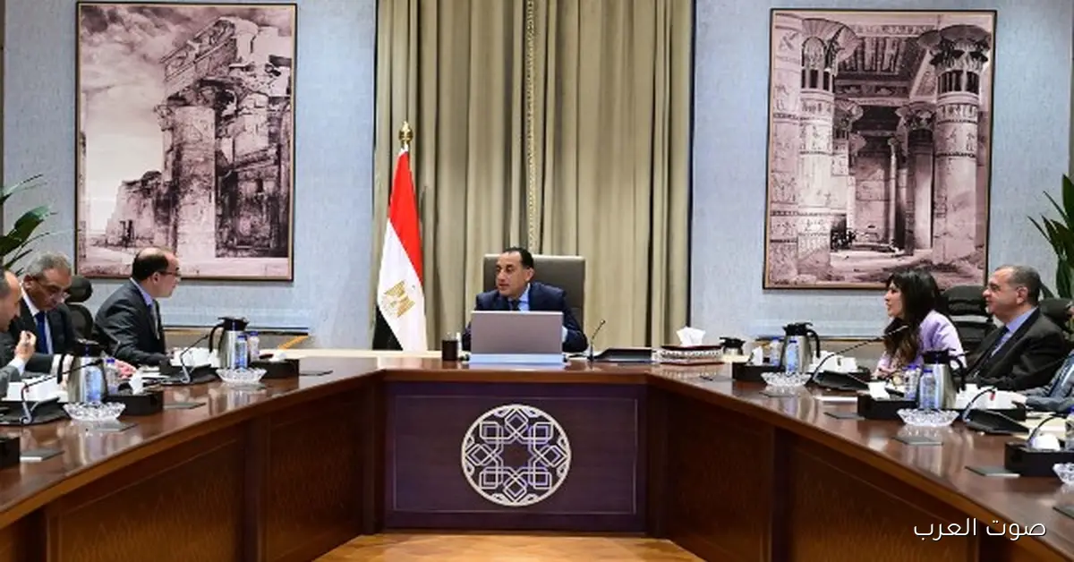 كجوك: الاستثمارات الخاصة زادت 73% السنة اللي فاتت