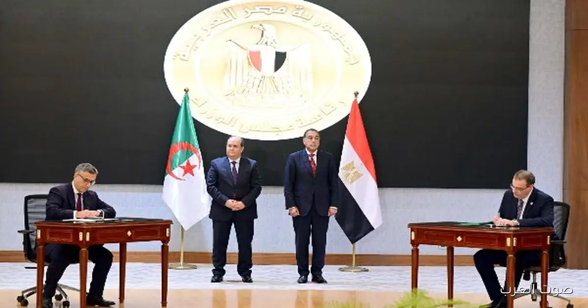 كل التفاصيل عن الوثائق ومذكرات التفاهم اللي اتوقعت بين مصر والجزائر النهاردة 2 كل التفاصيل عن الوثائق ومذكرات التفاهم اللي اتوقعت بين مصر والجزائر النهاردة