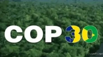 كوب 30 يناقش لأول مرة المخاطر البيئية لاستخراج المعادن المهمة