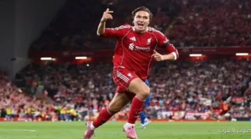 كييزا: الفوز بالدوري مع ليفربول كان أهم لحظة في حياتي.. وميسي أفضل لاعب في التاريخ 30 كييزا الفوز بالدوري مع ليفربول كان أهم لحظة في حياتي