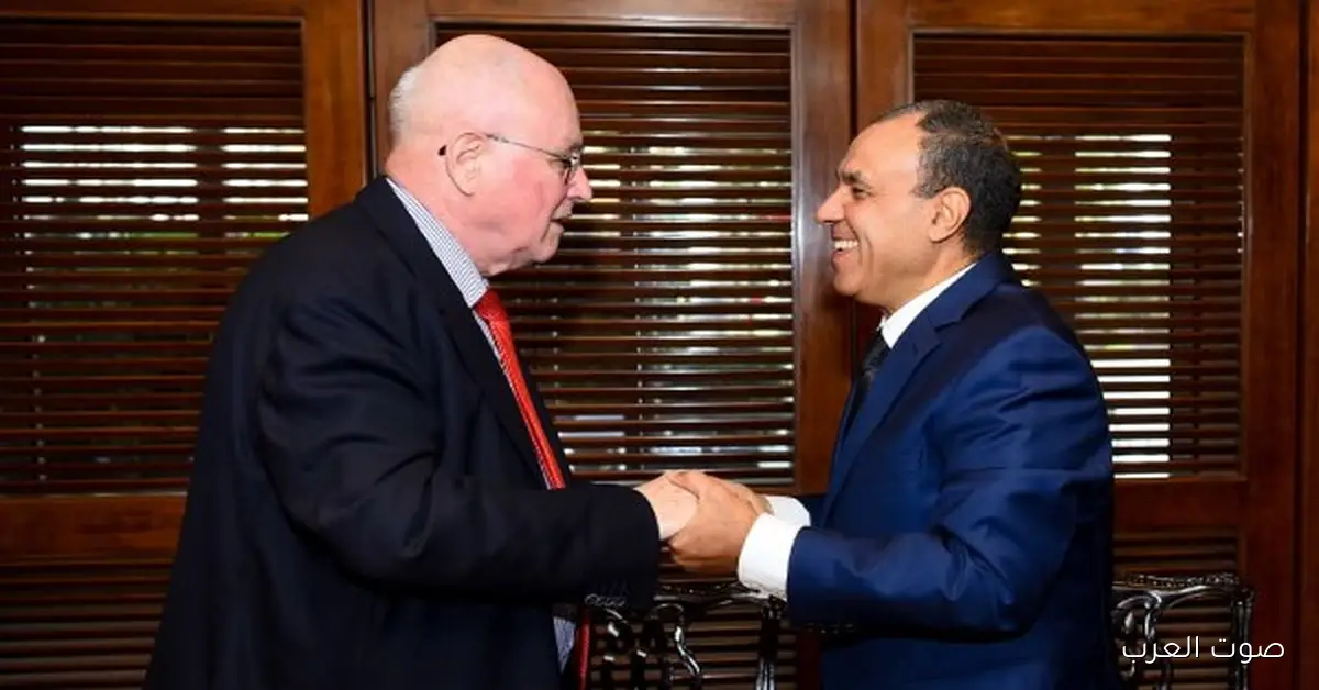 لقاء مهم بين وزير الخارجية وزعيم الأغلبية السابق في البرلمان الألماني لمناقشة تطورات غزة والعلاقات الثنائية