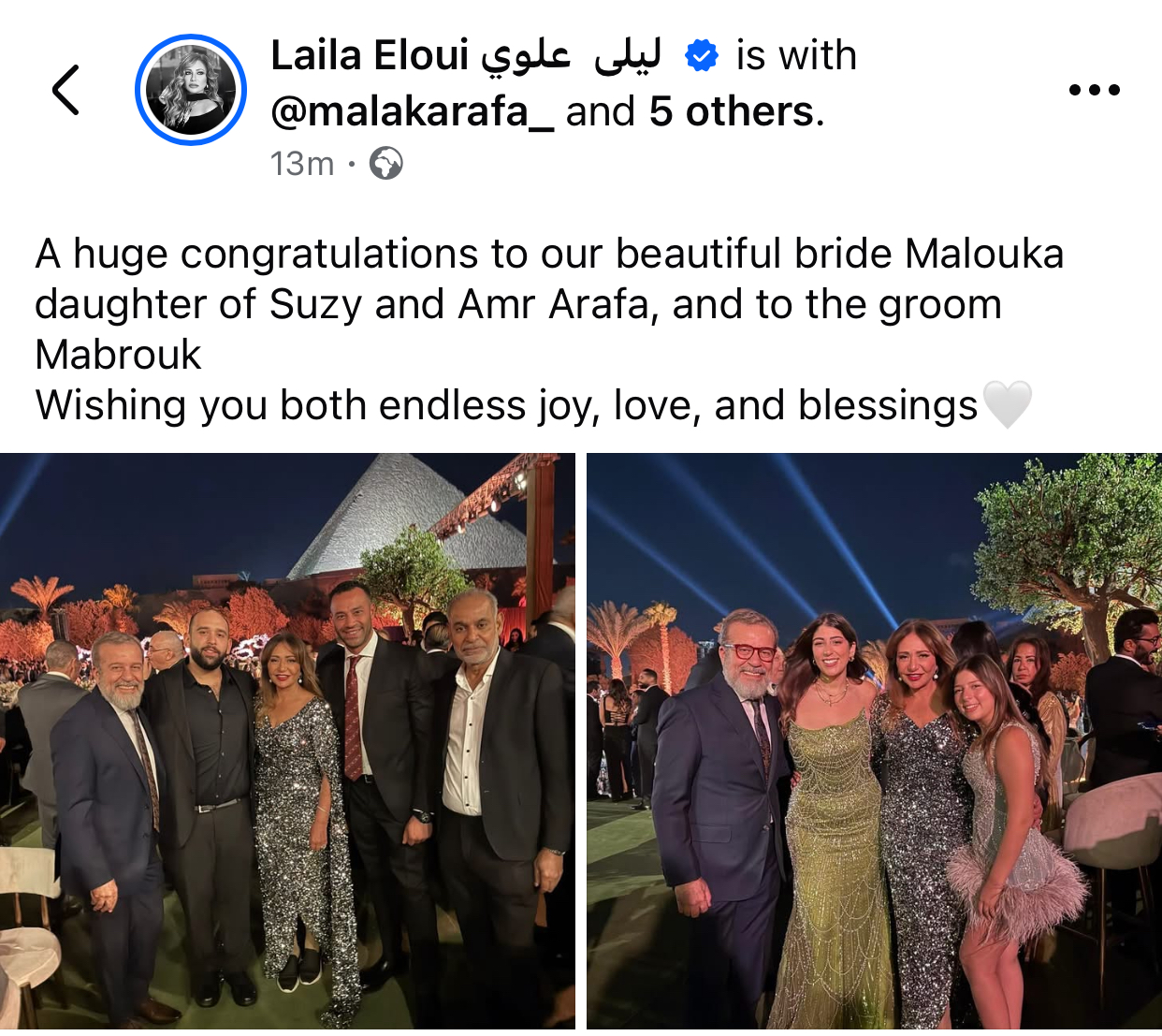 ليلى علوي تتألق بفستان لامع في فرح بنت عمر عرفة 3 ليلى علوي تتألق بفستان لامع في فرح بنت عمر عرفة