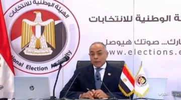 مؤتمر الهيئة الوطنية لمتابعة تصويت المصريين في المرحلة الثانية لانتخابات