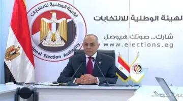 مؤتمر الهيئة الوطنية لمتابعة تصويت المصريين في المرحلة الثانية من