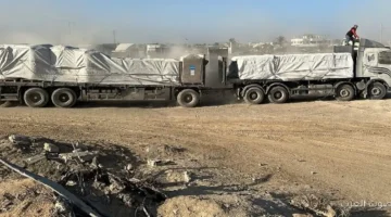 مؤرخ فرنسي أدلة قوية على دعم إسرائيل لسرقة المساعدات في