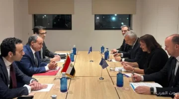 مباحثات بين وزير الخارجية والمفوضة الأوروبية لفتح باب الصادرات المصرية 18 مباحثات بين وزير الخارجية والمفوضة الأوروبية لفتح باب الصادرات المصرية