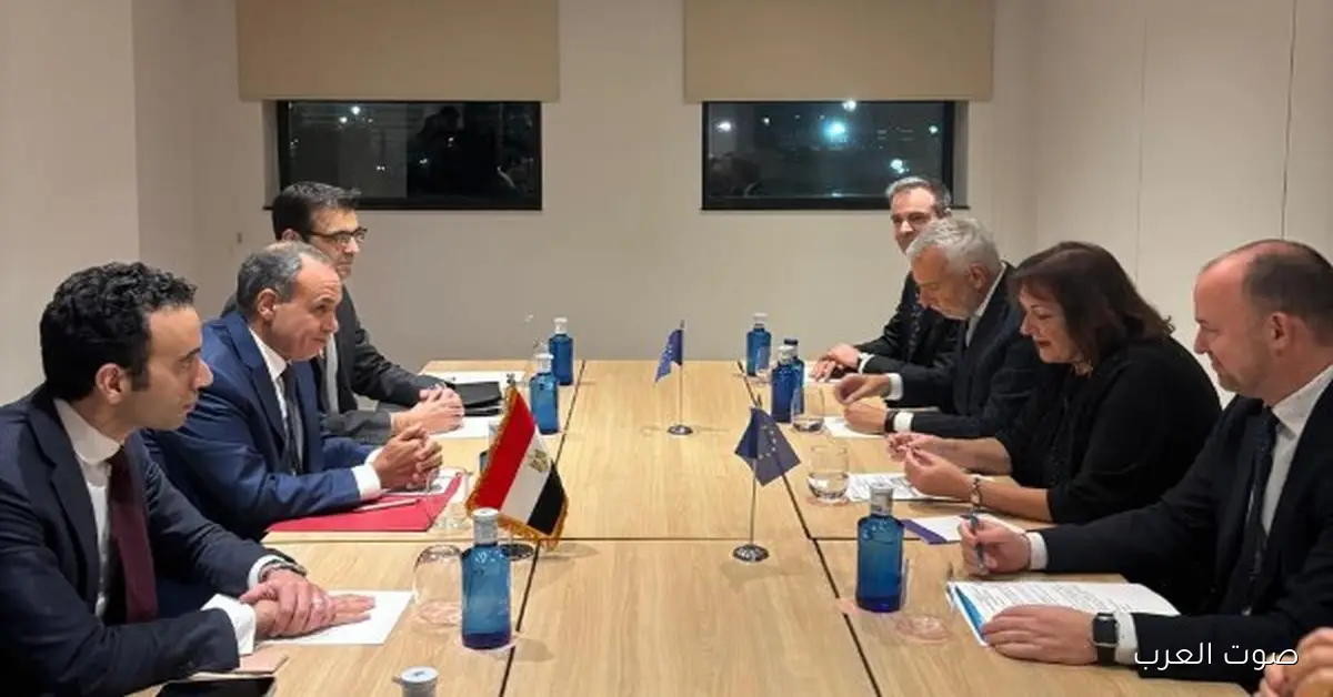 مباحثات بين وزير الخارجية والمفوضة الأوروبية لفتح باب الصادرات المصرية 2 مباحثات بين وزير الخارجية والمفوضة الأوروبية لفتح باب الصادرات المصرية