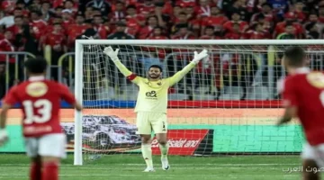 مباراة الأهلي وشبيبة القبائل بث مباشر