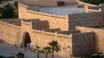 متحف النوبة يحتفل بذكري افتتاحه على هضبة مرتفعة