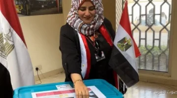 مجلس النواب 2025 نيوزيلندا تبدأ المرحلة التانية من تصويت المصريين