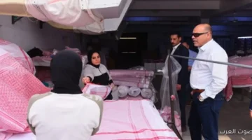 محاضر ضد 19 مصنع وإنذار لـ21 منشأة وضبط 441 أجنبي