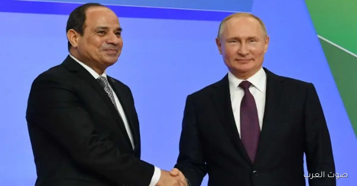 محطة الضبعة النووية.. نقطة تحول في الشراكة بين مصر وروسيا 2 محطة الضبعة النووية.. نقطة تحول في الشراكة بين مصر وروسيا