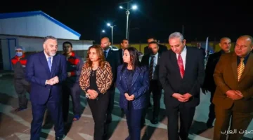 محطة لإنتاج البيض في طنطا على 14 فدان هتنتج 70