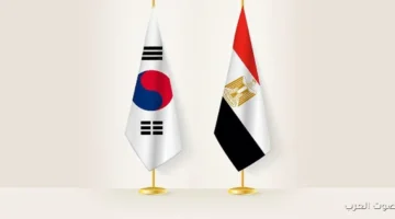 محفظة التعاون بين مصر وكوريا تتخطى 13 مليار دولار وتشمل