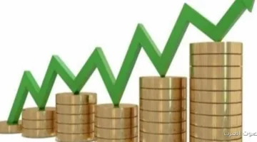 محمد سعدة مصر بتفتح أبوابها للاستثمار مع الصين وبتوفر فرصة