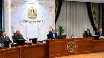 مدبولي مستمرين في تنفيذ خطوات دخول محافظات المرحلة الثانية في