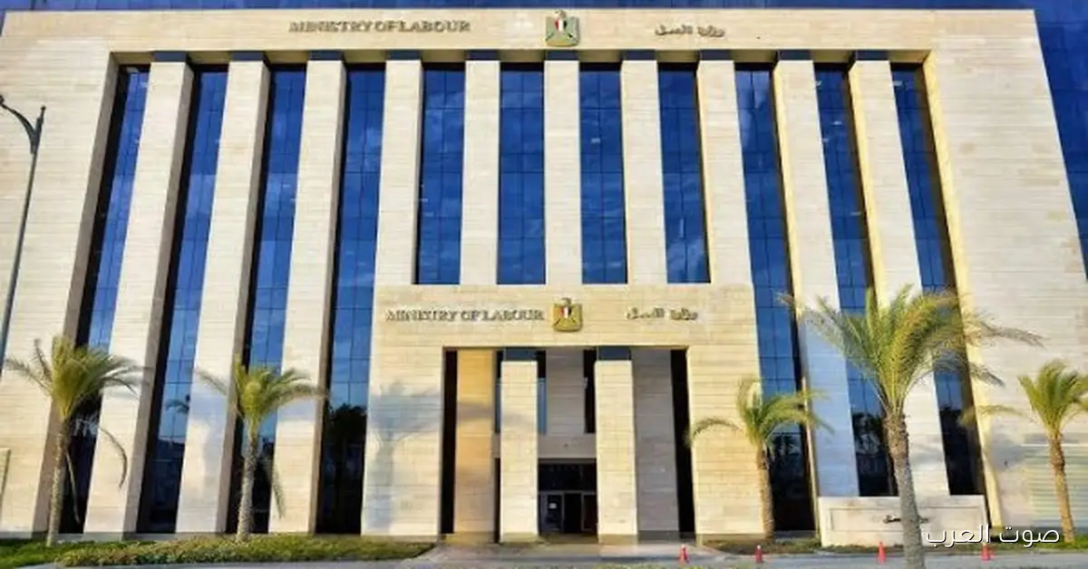 مدوا فترة التقديم على 75 ألف فرصة تدريب مهني مجانية