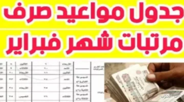 مرتبات فبراير