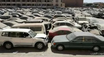 مزايدة جديدة للسيارات من وزارة المالية ملاكي وبيك وتكاتك، تعرف