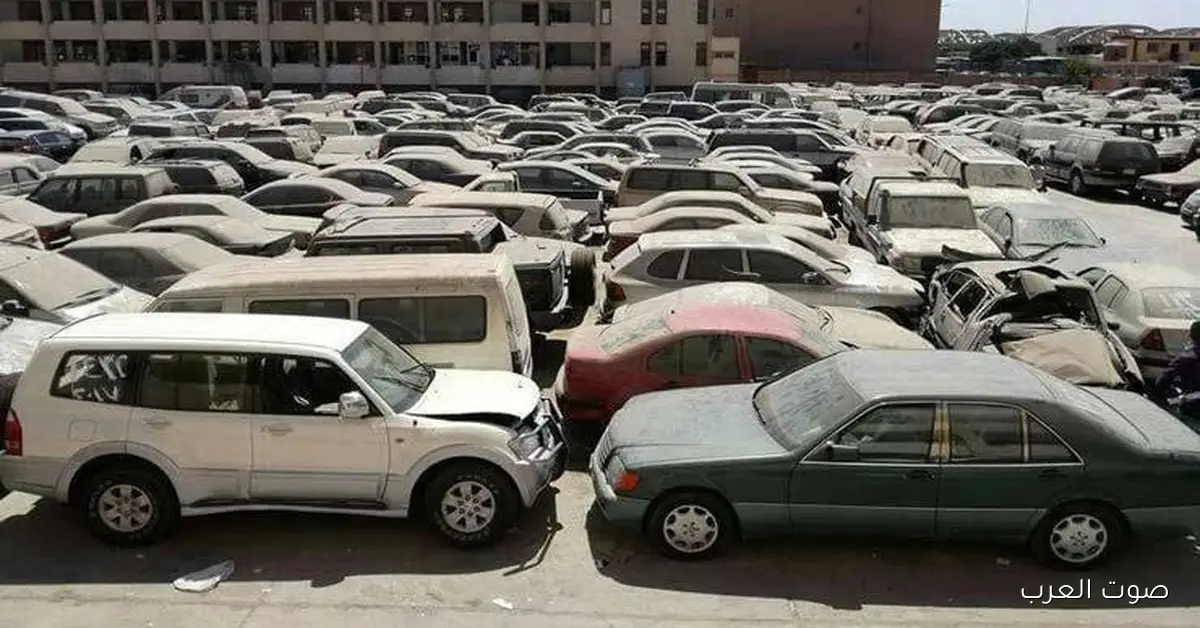 مزايدة جديدة للسيارات من وزارة المالية: ملاكي وبيك وتكاتك، تعرف على الموعد