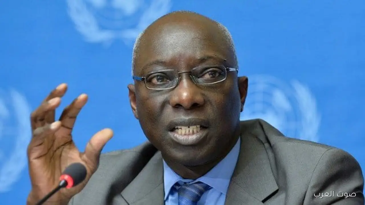 مستشار سابق في الأمم المتحدة مصر بتقود جهود الاستقرار والتنمية