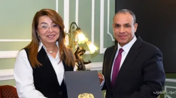 مصر بتستضيف تدريب للدول الأفريقية على مواجهة الجرائم الإلكترونية