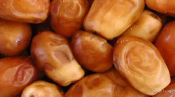 مصر تتصدر العالم في إنتاج التمور ولديها أكتر من 24