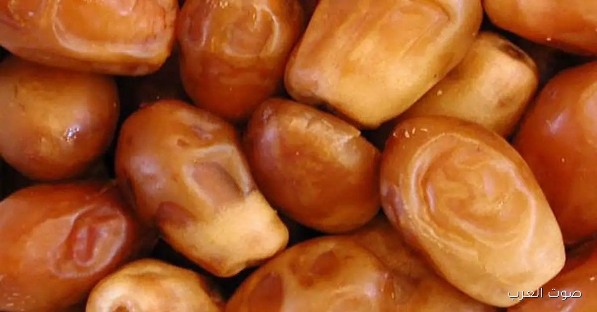 مصر تتصدر العالم في إنتاج التمور ولديها أكتر من 24 مليون نخلة