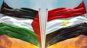 مصر تحتفل باليوم العالمي للتضامن مع الشعب الفلسطيني