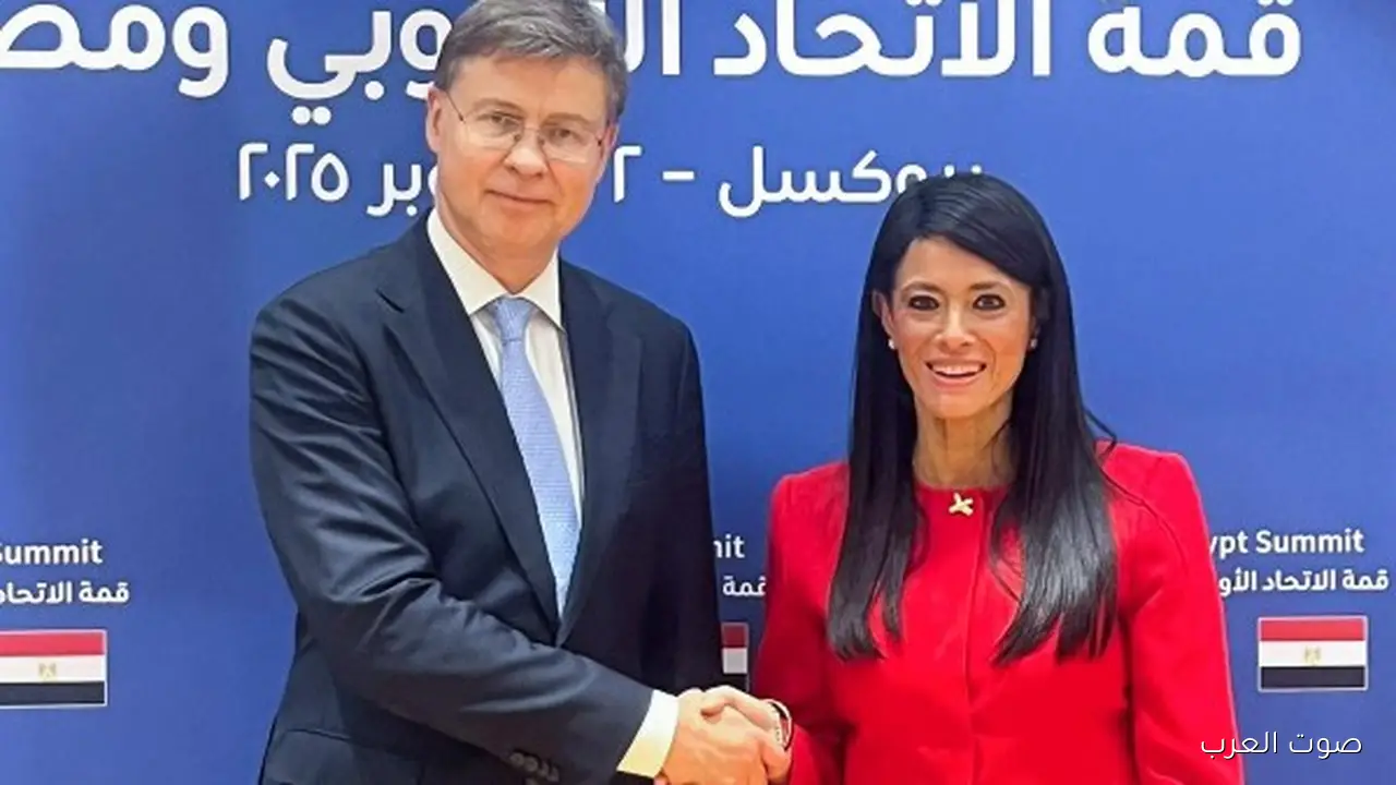 مصر تستقبل وفدين من المفوضية الأوروبية لبحث المنح التنموية