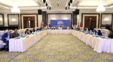 مصر تعرض إنجازاتها في التحول الرقمي والصحة العامة في اجتماع