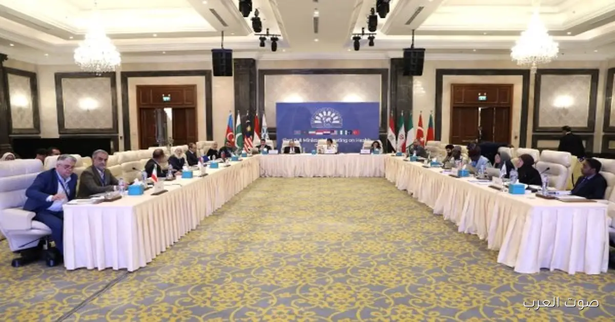 مصر تعرض إنجازاتها في التحول الرقمي والصحة العامة في اجتماع وزراء صحة مجموعة D-8