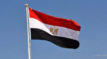 مصر كسبت رسمياً مقعد في الجمعية العامة للمنظمة البحرية الدولية