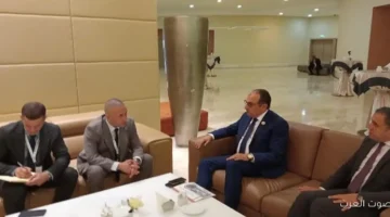 مصر والجزائر بتتناقشوا عن التعاون في صناعة السيارات الكهربائية