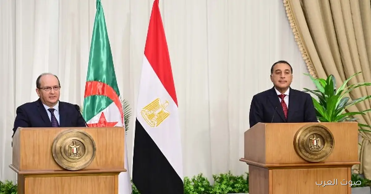 مصر والجزائر.. مرحلة جديدة ومميزة في علاقات البلدين