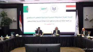 مصر والجزائر يعقدوا أول اجتماع للجنة الفنية لتعزيز التعاون في