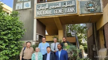 مصر والصين يتعاونوا لحماية التراث الثقافي تفاصيل مهمة