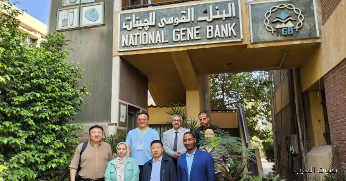 مصر والصين يتعاونوا لحماية التراث الثقافي | تفاصيل مهمة