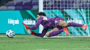 مصطفى شوبير هو مستقبل الأهلي ومصر، وتوروب ماشية على الطريق