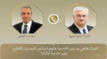 مكالمة بين وزيري خارجية مصر وأوكرانيا
