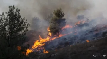منخفض جوي يثير الفوضى في إسرائيل حرائق في المزارع وزحمة