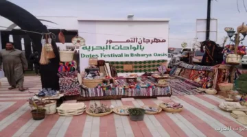 مهرجان التمور المصرية الثامن ينطلق غدًا في الواحات البحرية برعاية