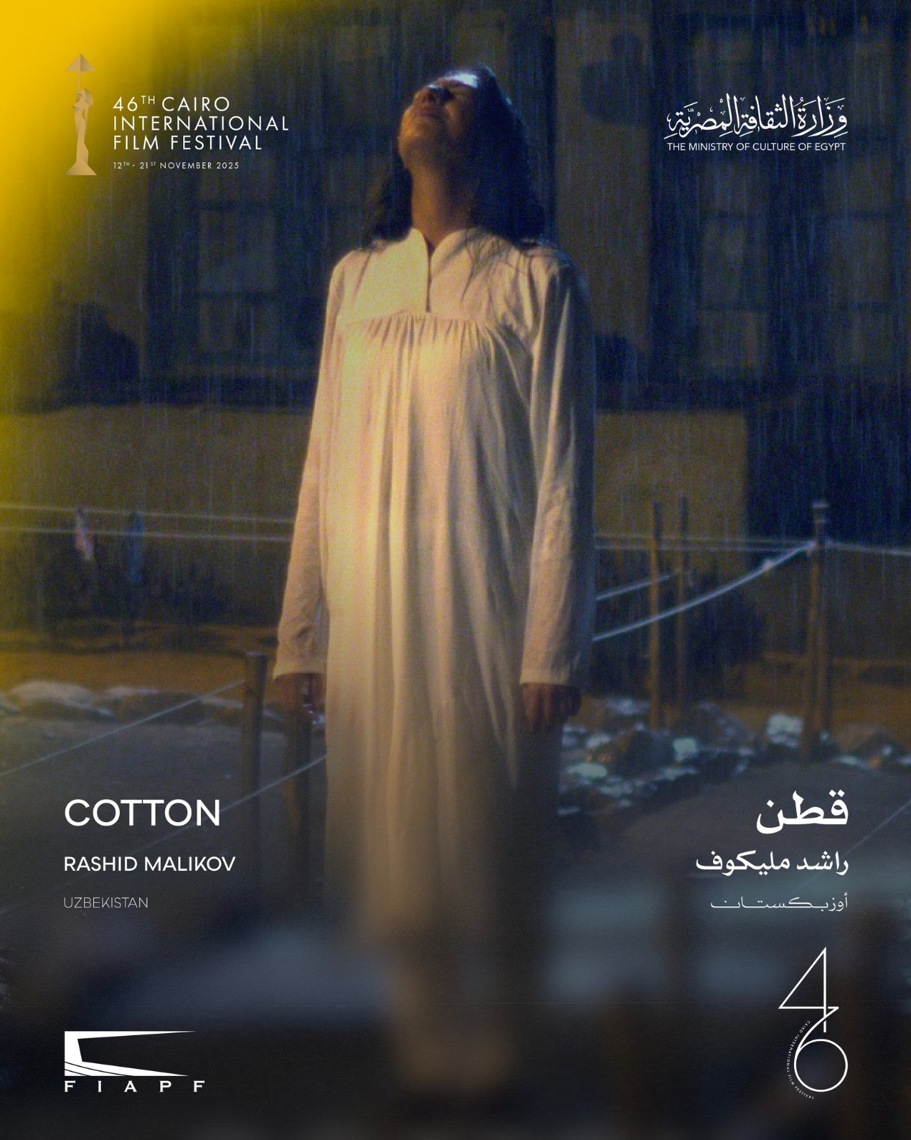 مهرجان القاهرة السينمائي