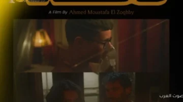 مهرجان القاهرة يكشف عن قائمة البانوراما المصرية اللي برا المسابقة